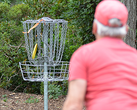 Disc Golf New Zealand